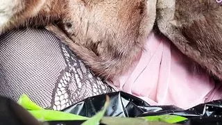 Be my Valentine… and I'll pee in your face!