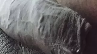 Your Wife Loves That Dick 2