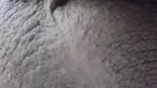 Married Eater Attacks Again Come You Bitch