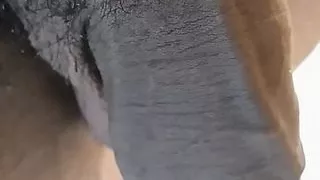 If My Soft Dick Is That Size Imagine Hard In Your Mouth