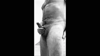 HansOnTheNet on display