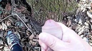 Big uncut cock cumming in the woods
