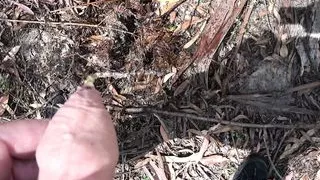 If you go down to the woods today