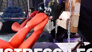 Shackled Slave Worships Mistress's Red Nylon Legs