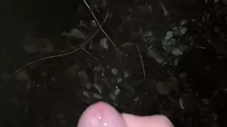 Outdoor Cumshot