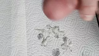 Kitchen Masturbation