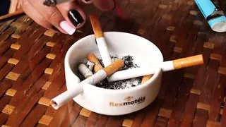 Vollbusige Trans-Schönheiten zeigen ihre Körper und rauchen solo