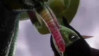 Wild Life, Tasty Sex, Sweet Naughty Ass, Intense Tasty Sweet Pleasure, Fucked