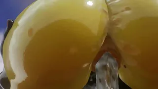 Wild Life, Intense Sex, Sweet Naughty Ass Fucked, Intense Sex