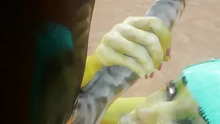 Wild Life, Intense Hard Sex, Tasty Pleasure, Hot Ass, Intense Hard Sex