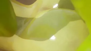 Wild Life, Perfect Hot Hard Sex, Intense Tasty Pleasure