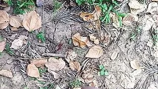 Running with bbc, out in public,steasing hot cock,big blue balls