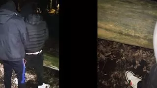 Dominasex, Dominierung, Rudelbumsen, Sexorgie, Sex im Freien, Jung