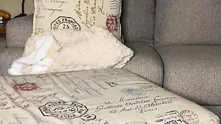 Creamy Dildo Orgasms