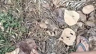 Der Schwanz in der Hose bekommt etwas freie Luft und Sonnenlicht