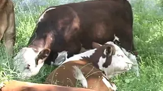 Just a fucking Nympho!!! - Vol. #23