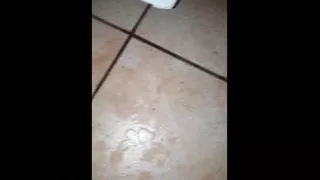 Jessica Moans After Squirting! - Italian Amateur Mr. Big