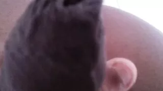 Today Was Not A Good Day