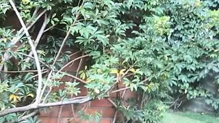 Bär pisst bei der Arbeit ins Bad