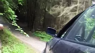 Blondine am Strassenrand aufgerissen und durch gefickt