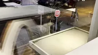 Blowjob and Sex in fast food restaurant and dirty cumshot - very risky :P