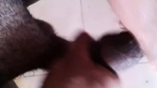 See What A Big, Wonderful Dick Your Wife Loves To Suck, Xhamster Video 79