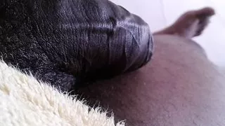 The Biggest Black Dick You Will See Today, Good Day Today And Friday, Xhamster Video 104