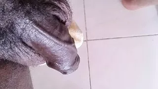 How To Dominate An Anaconda, You Can Dominate This Anaconda Here , Xhamster Video 127