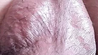 How To Dominate An Anaconda, You Can Dominate This Anaconda Here , Xhamster Video 137