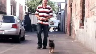 Pure American Stallions dirty Adventures XXX!!! - Vol. #06