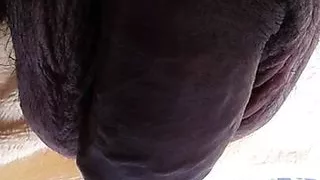 7 o'clock in the morning in Brazil and look at how I woke up, wanting a blowjob XHAMSTER VIDEO 150