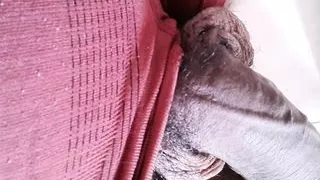 Today Is Your Day, So Here Is Your Birthday Gift, You Will Want, A Brazilian With A Big Dick,  Xhamster Video 178