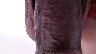 I Came Back From The Academy Like This, Xhamster Video 182