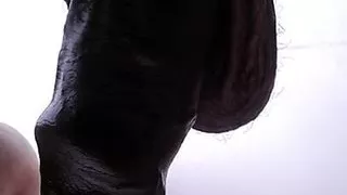 Polemicy Video, Very Sexy Content That Can Make You Horny All Day Long, Be Careful ,xhamster Video 199