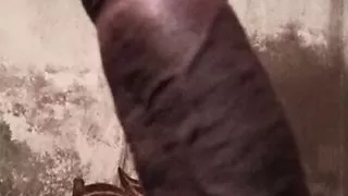 Village Boy Desi Lund Big Penis