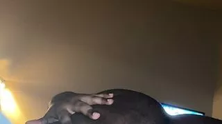 Afrikanischer Sex, Schwarzer Sex, Mollige Frauen, College, Fett, Jung