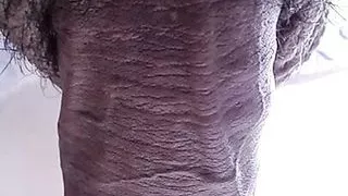 How Awesome Is That Big Black Cock Entering My Ass, Xhamster Video 221