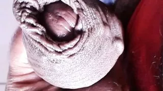 See How To Develop An Unshakable, Rock-hard Dick, Xhamster Video 271