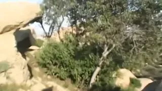 Pure Hardcore from USA!!! - Vol. #04