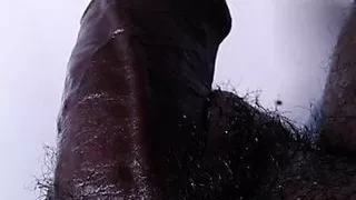 Today The Bad Wolf Will Catch You, Today You Dream Of Me, Xhamster Video 239