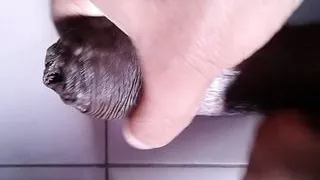 Today The Bad Wolf Will Catch You, Today You Dream Of Me, Xhamster Video 261