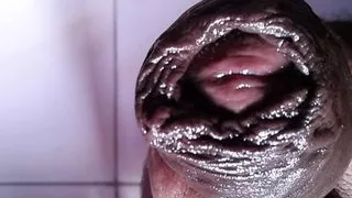 Do Not Watch This Video, It Has A Surprise In It Please Do Not Watch, Xhamster 260