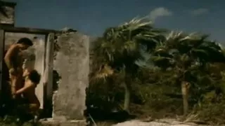 Nasty Stallions!!! - Vol. #05