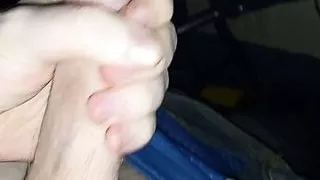 if whales are mammals, do whales have titties?