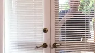 Wonderful Dreams become True!!! - Vol. #01