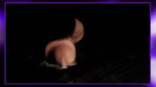 Cumming is an everlasting enjoyment