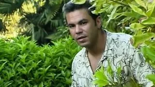 My Crazy Desire!!! - Vol. #03