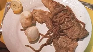 Crazy Stallion loves to Fuck!!! - Vol. #02