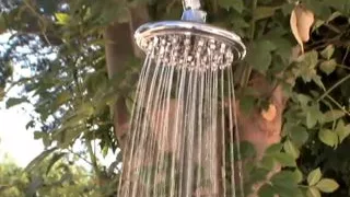 Hot Fucking Stallions!!! - Vol. #01