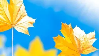 Desi sex story &ndash; Indian fucking story